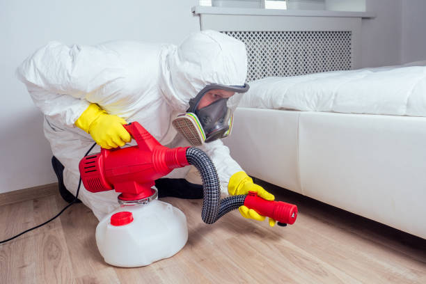 Wasp Removal Services in Cedar Hills, UT
